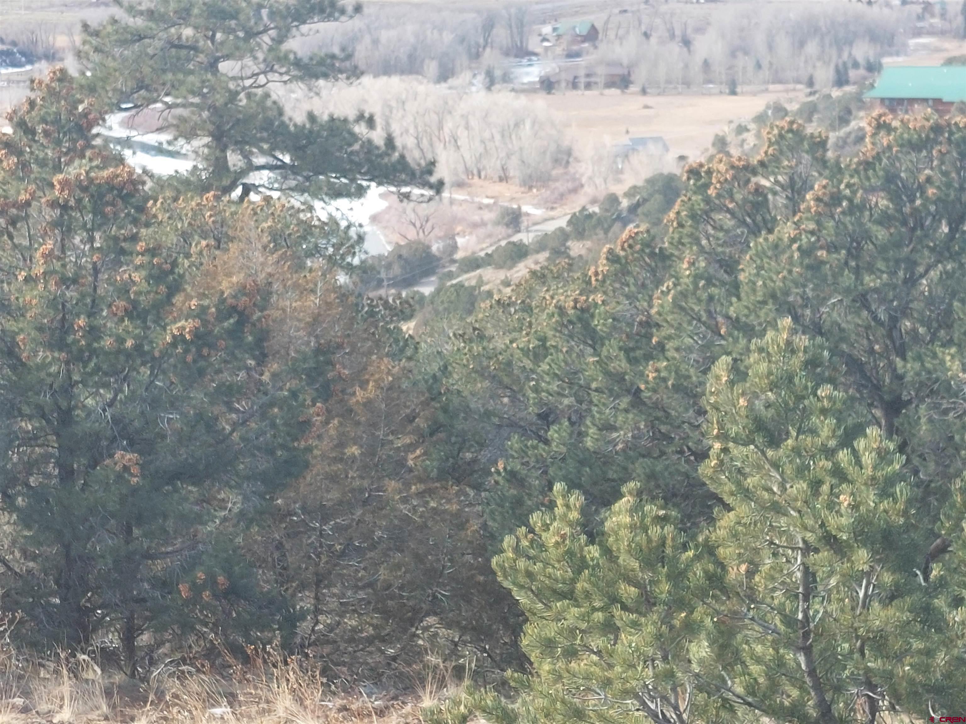 119 Cactus Road South Fork, CO 81154 - Photo 4 of 7 a close up of a tree