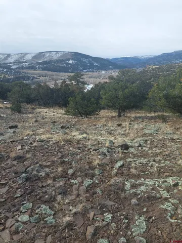 $24,999 | 119 Cactus Road, South Fork, CO 81154