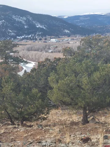 $24,999 | 119 Cactus Road, South Fork, CO 81154