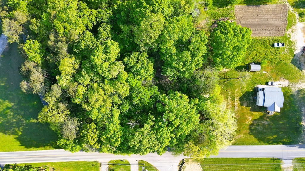 0 Maple Hill Road Loudon, TN 37774 - Photo 6 of 13