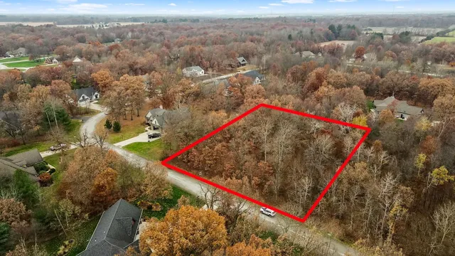 a view of a dry yard with large trees