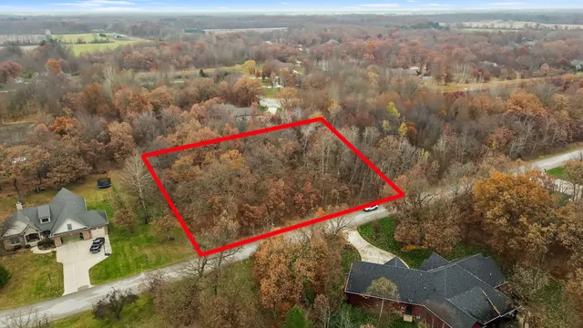 a view of city and flowers