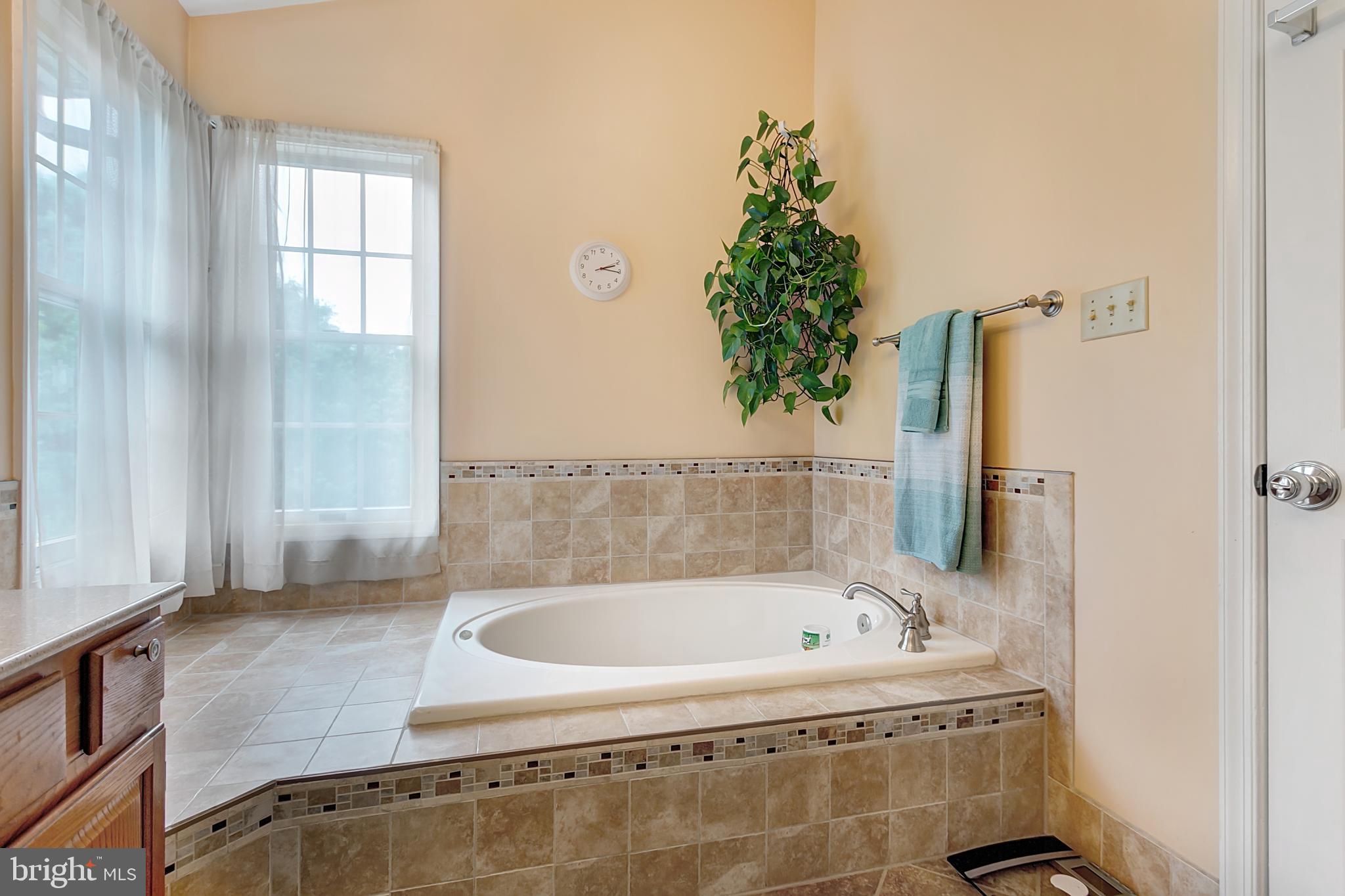 18832 Falling Star Road Germantown, MD 20874 - Photo 18 of 42 MASTER BATH SOAKING TUB