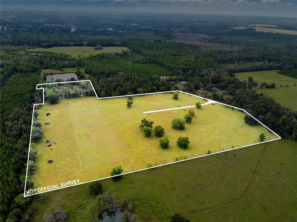 11242 Hogan Road Live Oak, FL 32060 - Photo 6 of 39 Gallery Image 6
