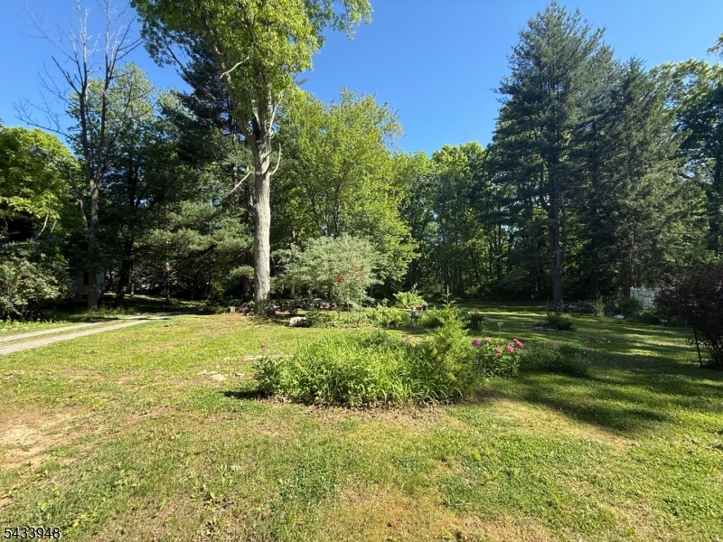179 Old Turnpike Road Port Murray, NJ 07865 - Photo 5 of 8 a view of a grassy field with trees