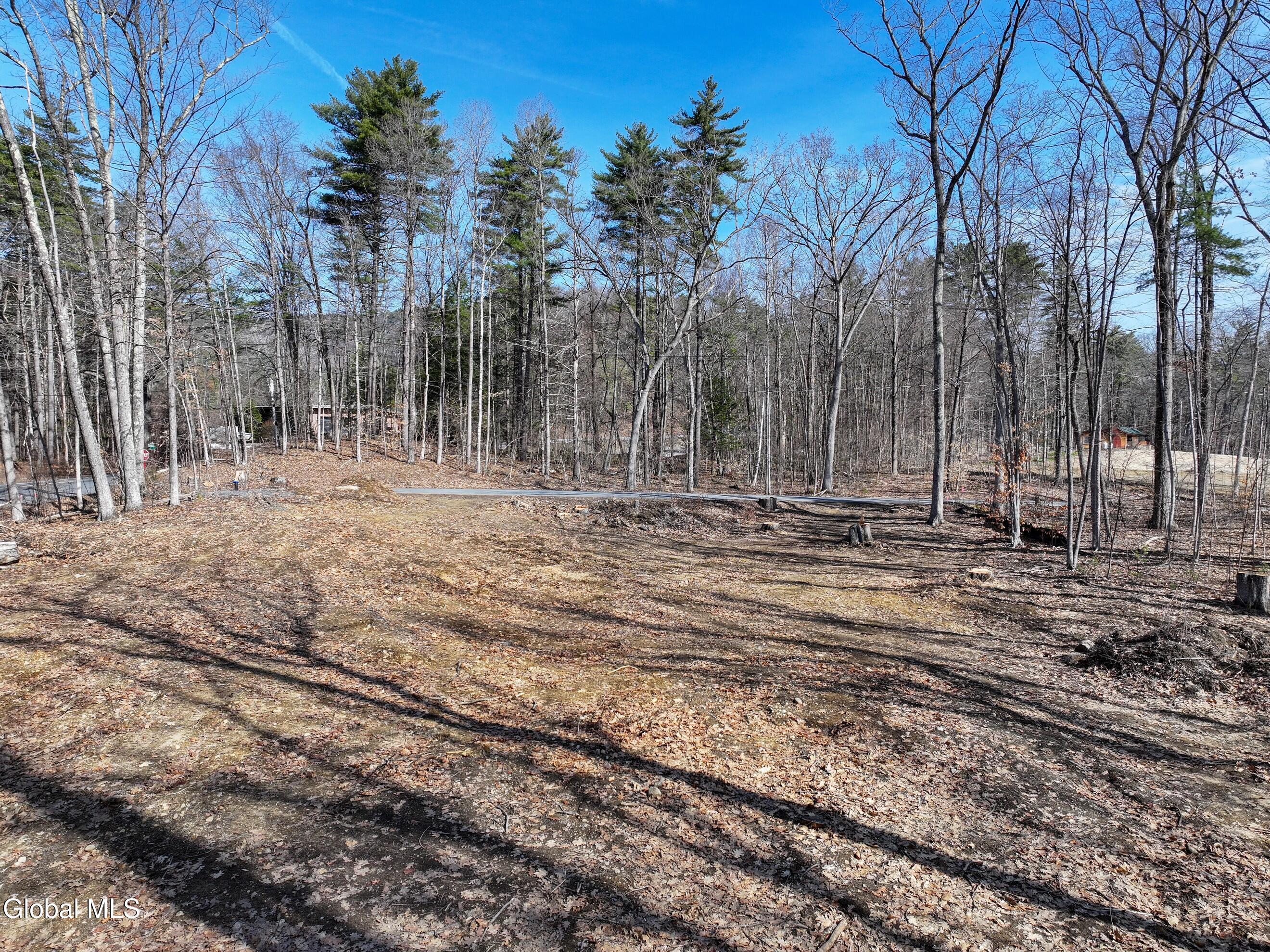 8 Nacy Road Lake George, NY 12845 - Photo 19 of 19 DJI_20260330102325_0065_D-2 (Copy)