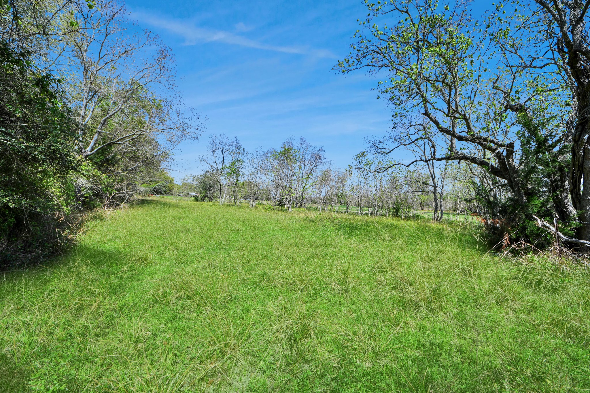 602 Massey Tompkins Road Baytown, TX 77521 - Photo 7 of 9 a view of outdoor space and yard