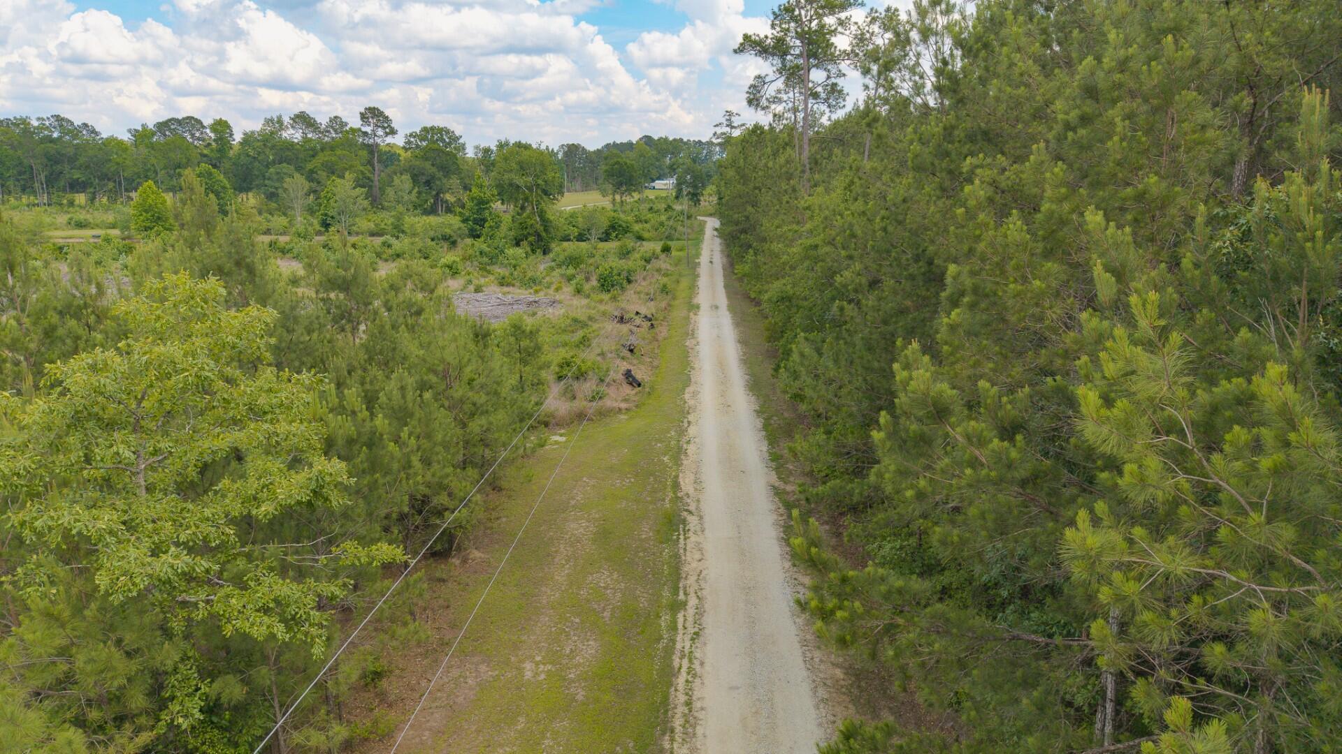6222 Saints Delight Road Georgetown, SC 29440 - Photo 16 of 31 Saint Delight 2 Acres-13