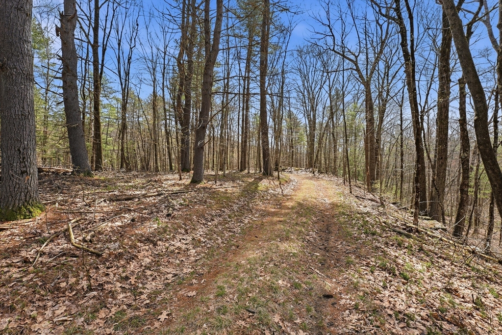 0 Dry Hill Road Montague, MA 01351 - Photo 7 of 9 a view of outdoor space with trees