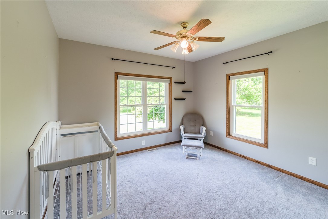 3735 Yost Road Litchfield, OH 44253 - Photo 19 of 39 Gallery Image 19