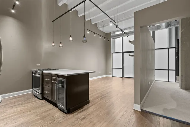 $379,000 | 1645 West Ogden Avenue, Unit 439, Chicago, IL 60612