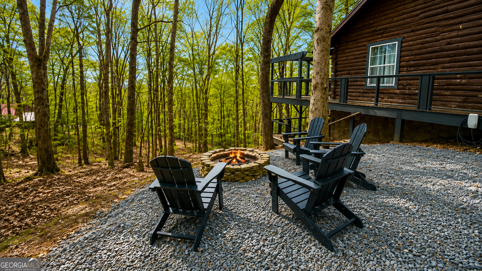 325 Pettit Ridge Road Ellijay, GA 30536 - Photo 9 of 48