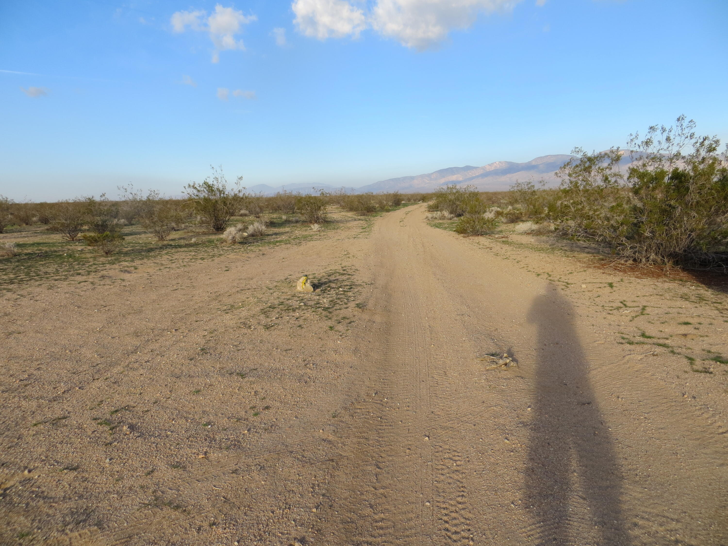1 Mendiburu Road California City, CA 93505 - Photo 1 of 4 5 Bundy 20A SE Corner Survey Hub South P
