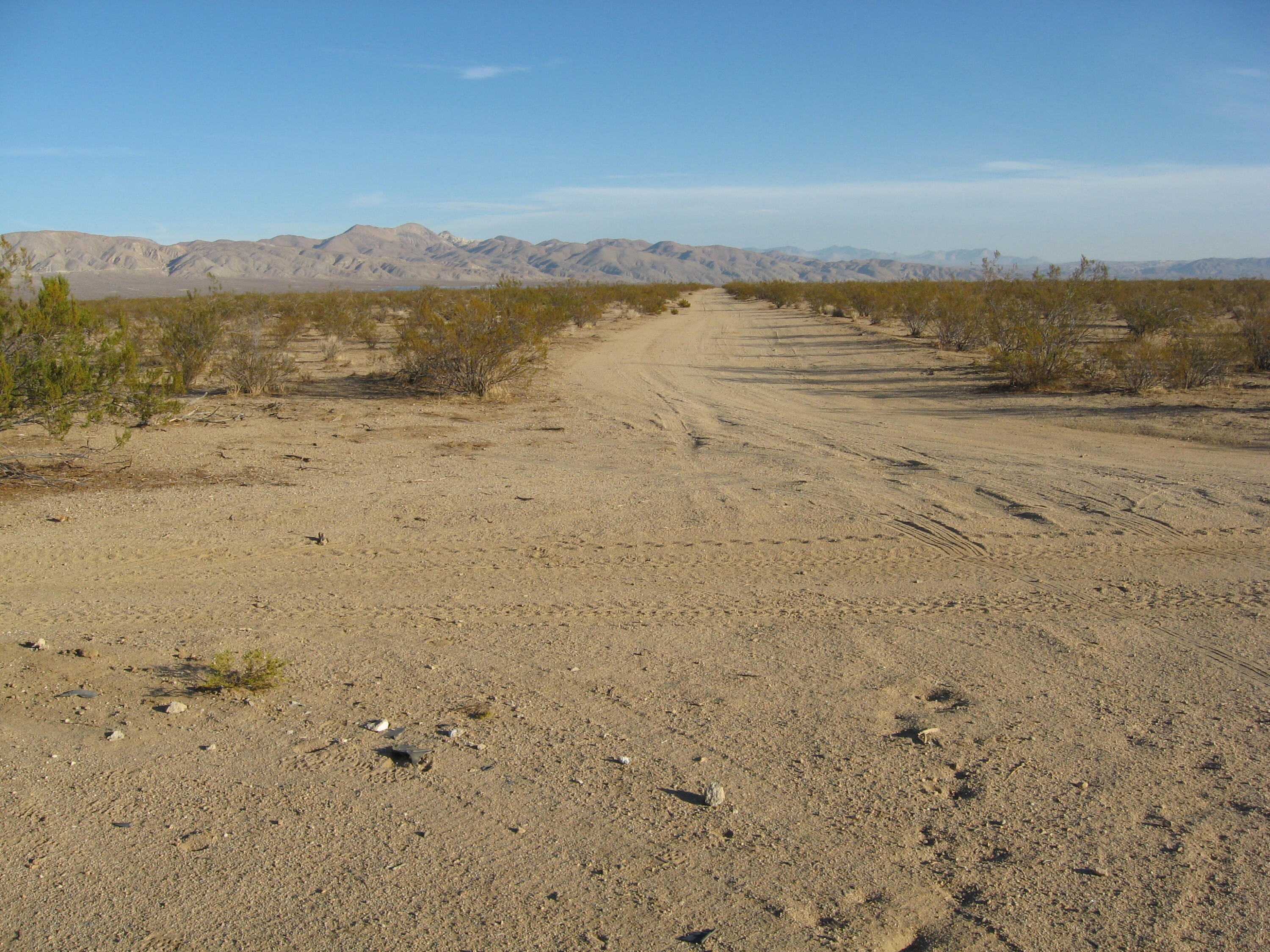 1 Mendiburu Road California City, CA 93505 - Photo 2 of 4 4 Bundy 20A East Prop Line Lookg North