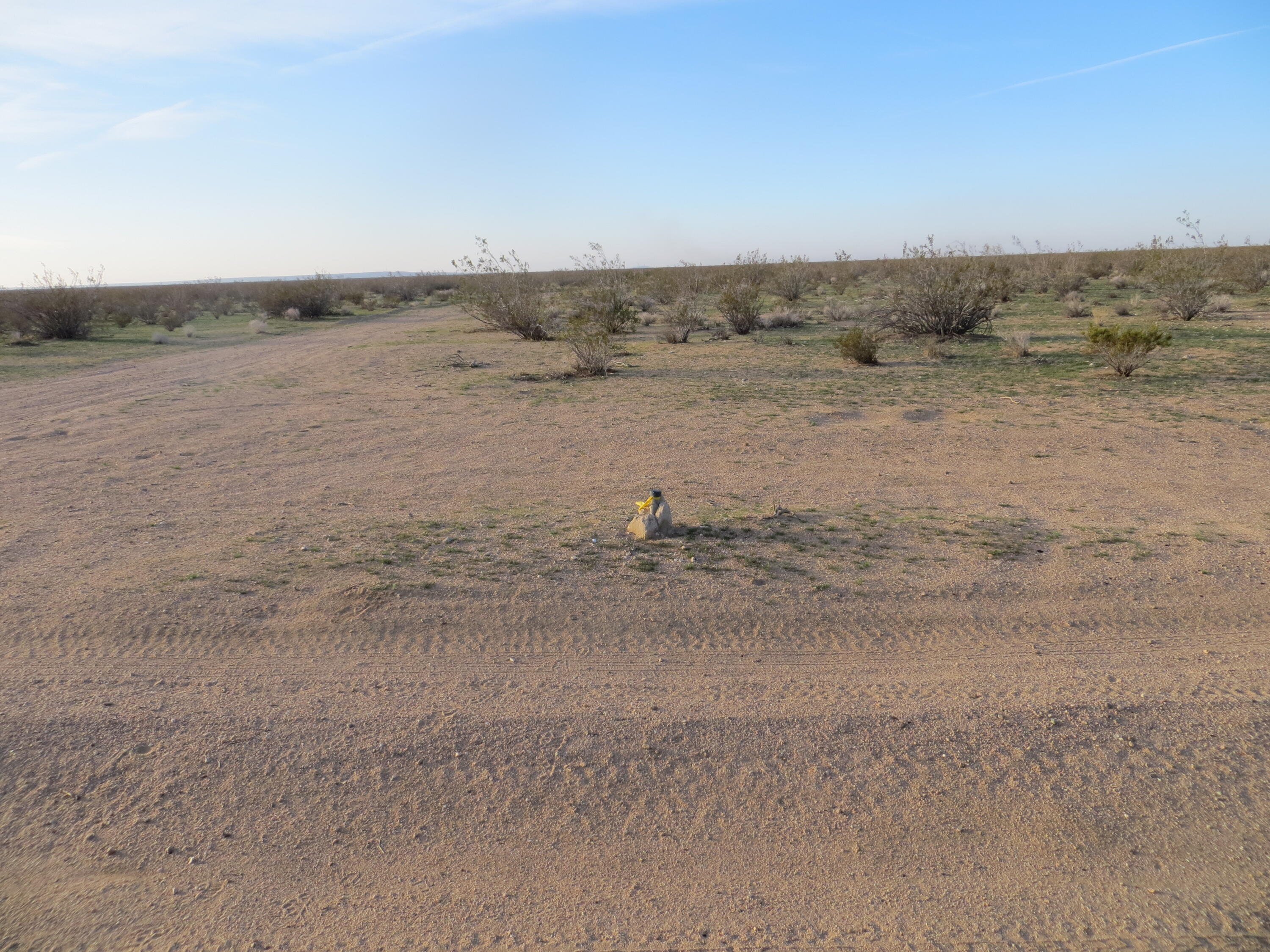 1 Mendiburu Road California City, CA 93505 - Photo 4 of 4 7 Bundy 20A SE Corner Survey Hub Before