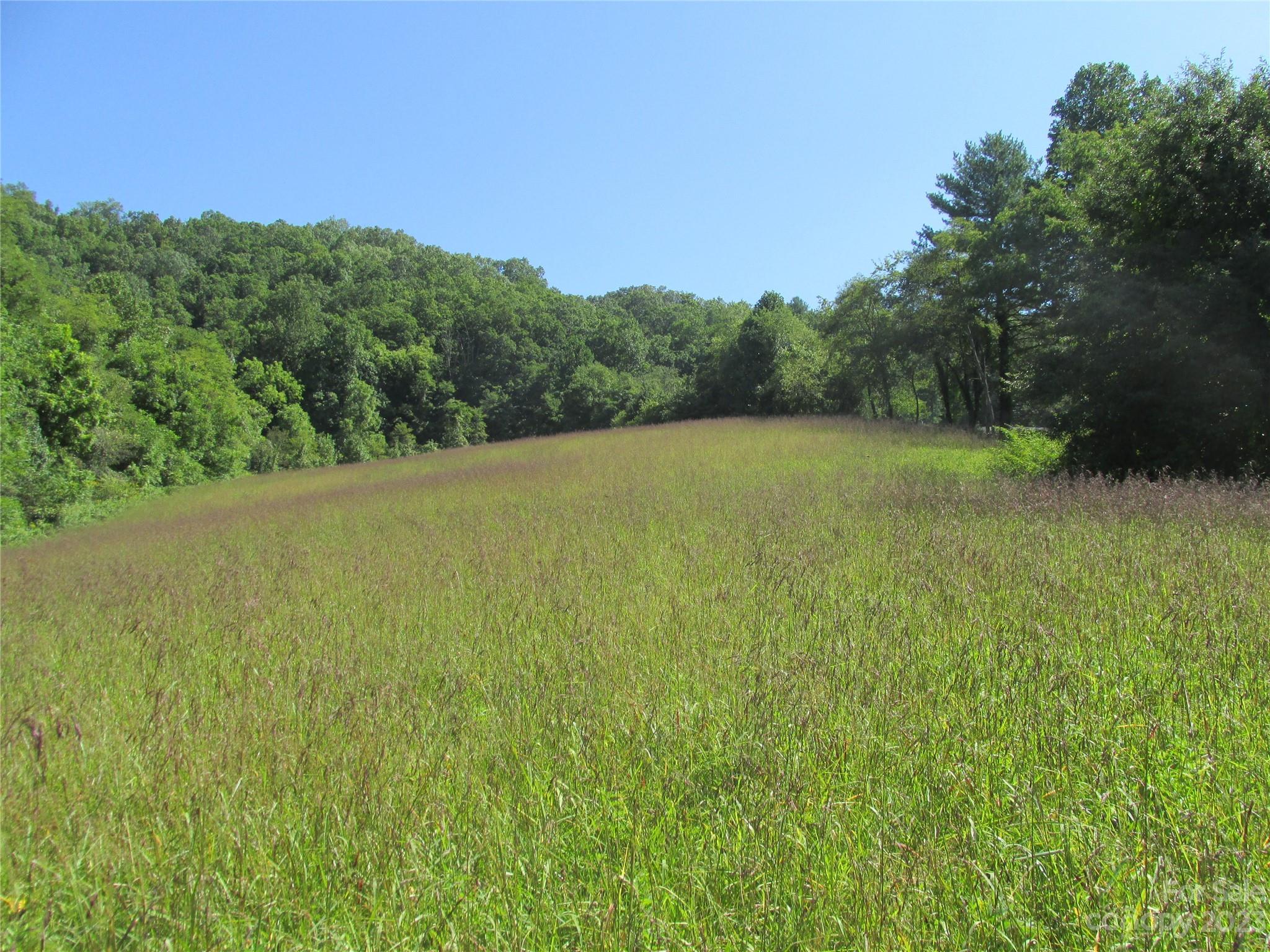 100 Speedwell Acres Road Cullowhee, NC 28723 - Photo 4 of 5 Gallery Image 4