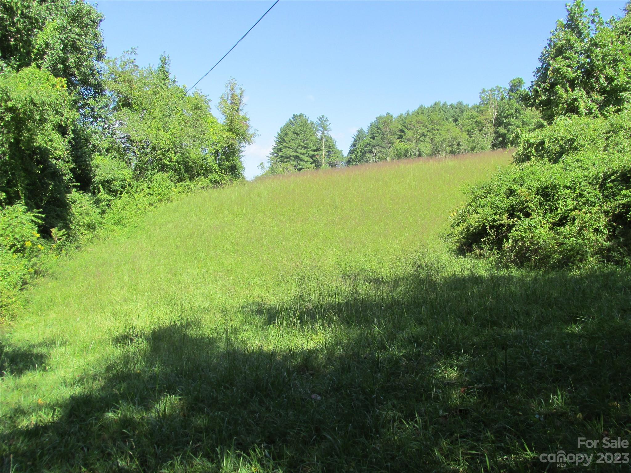 100 Speedwell Acres Road Cullowhee, NC 28723 - Photo 5 of 5 Gallery Image 5