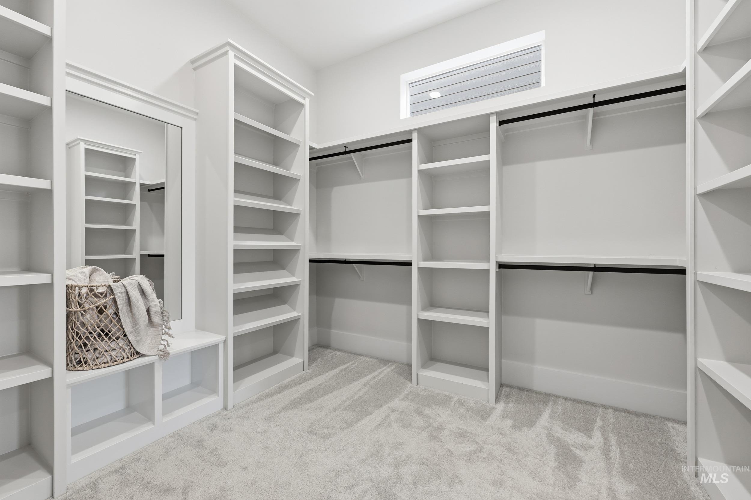 6513 South Utmost Way Meridian, ID 83642 - Photo 23 of 47 Walk in closet featuring light colored carpet