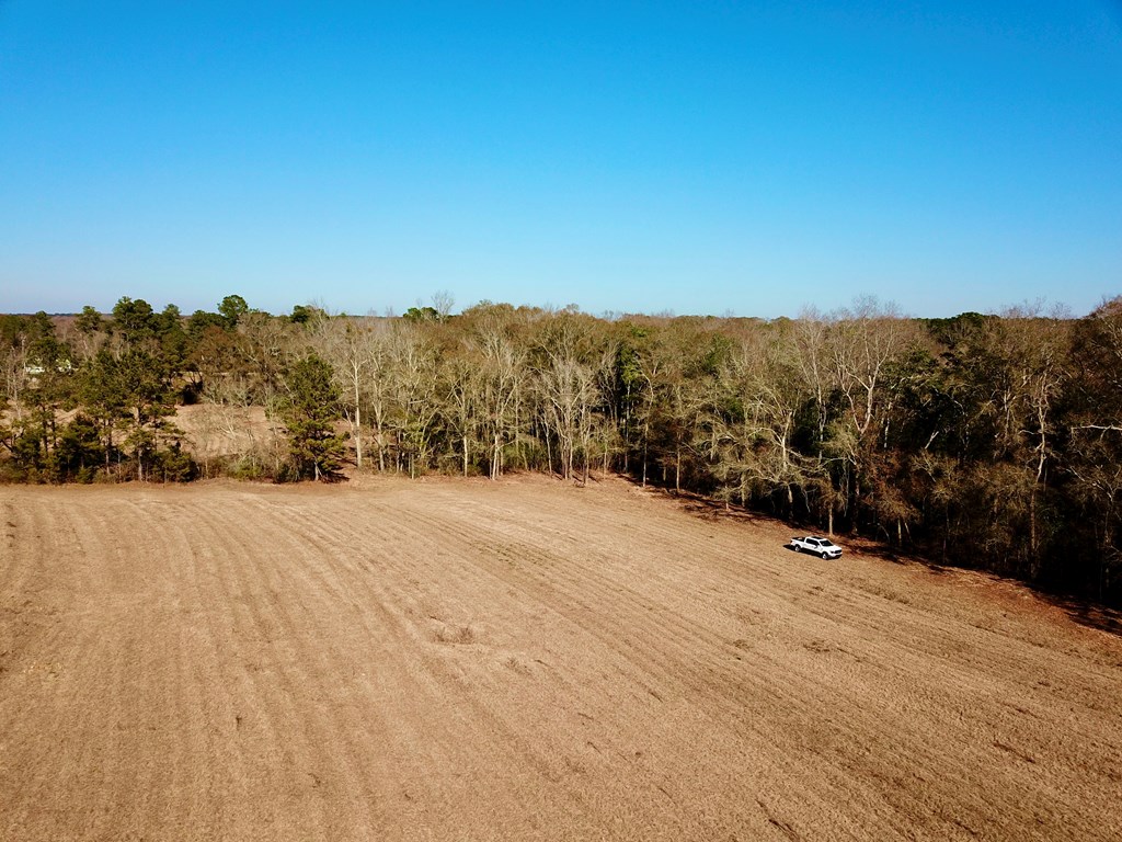 24.6-acres Grant Road Slocomb, AL 36375 - Photo 6 of 17