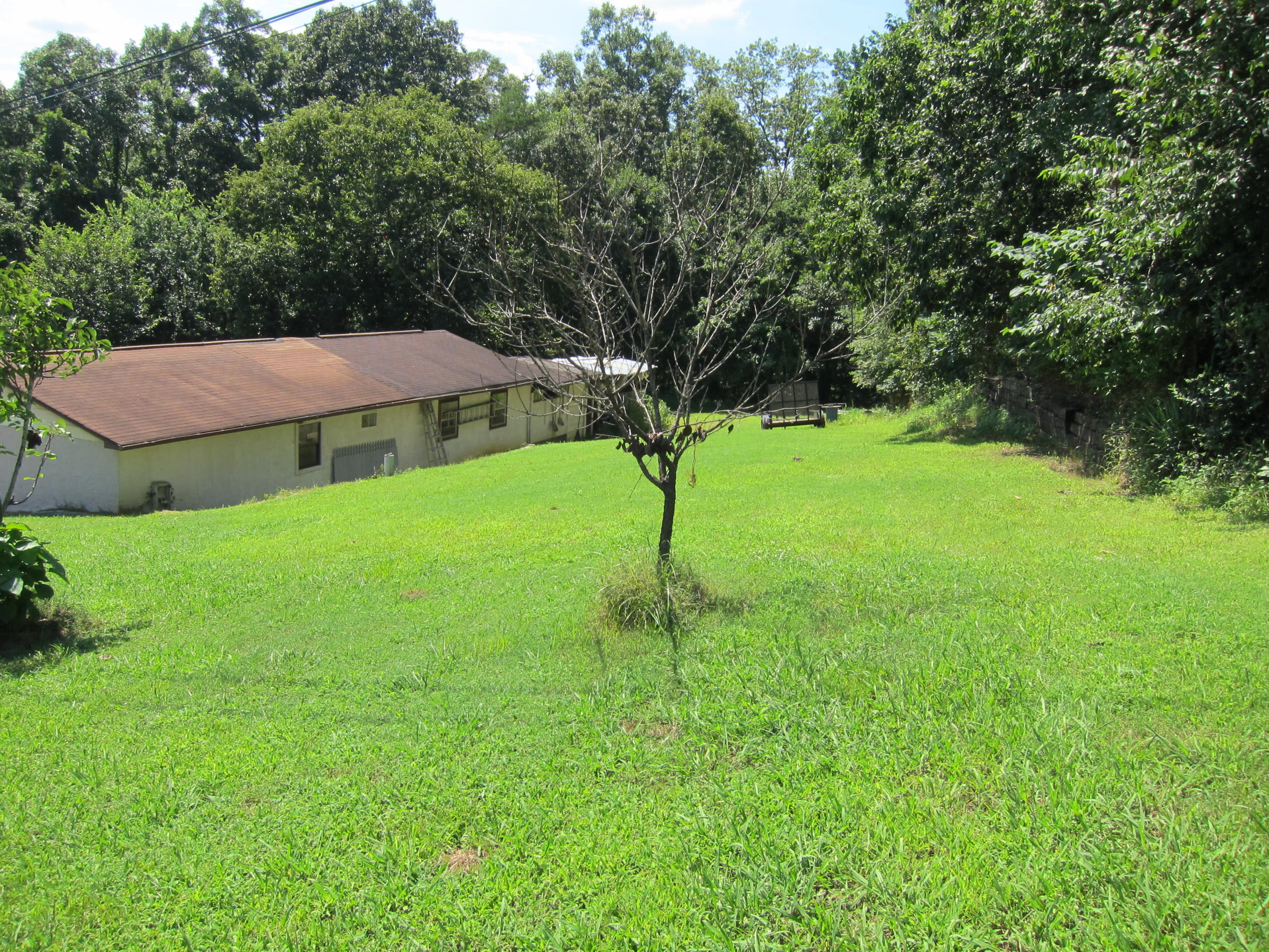 11233 Blair Road Apison, TN 37302 - Photo 28 of 29 IMG_2720