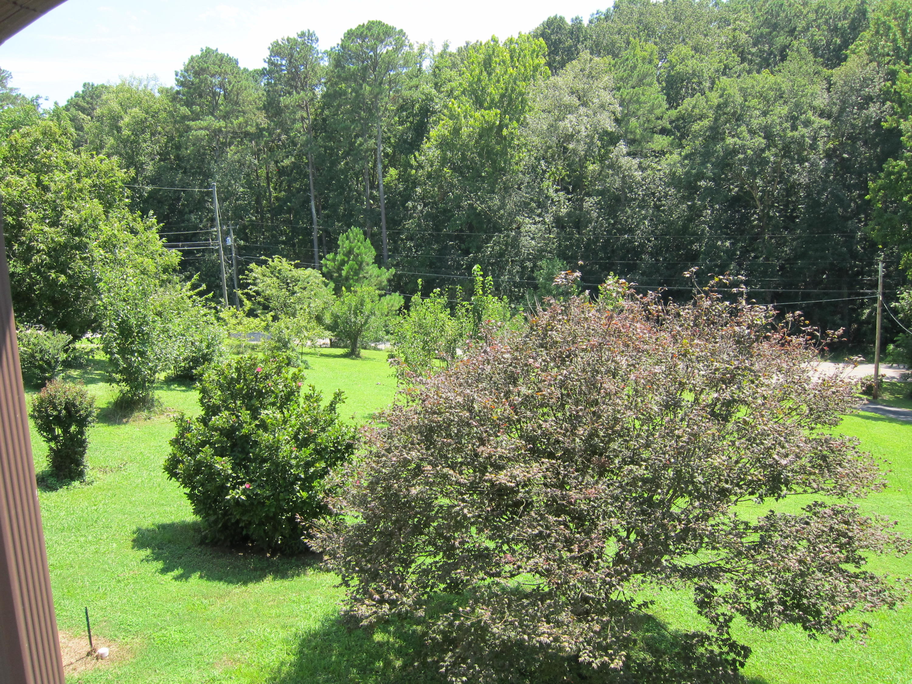 11233 Blair Road Apison, TN 37302 - Photo 29 of 29 IMG_2693