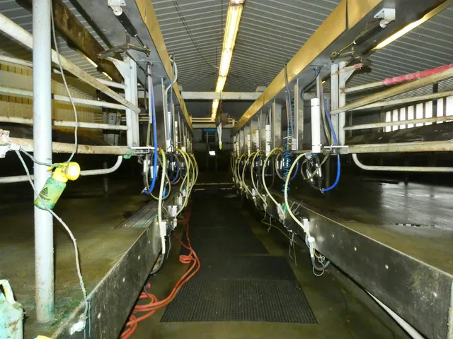 $1,200,000 | 3604 Vermont Rte 111, Morgan, VT 05853