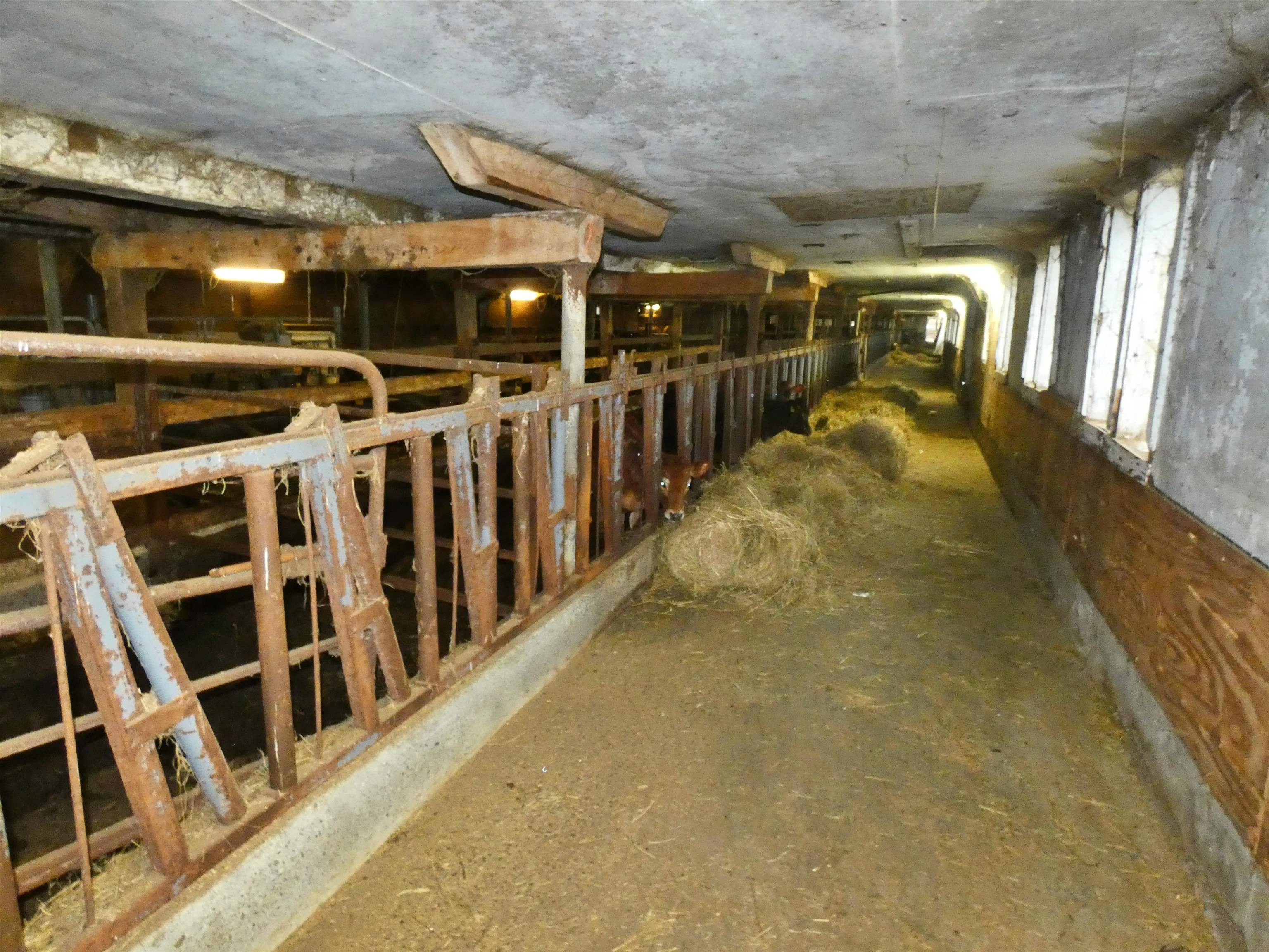 3604 Vermont Rte 111 Morgan, VT 05853 - Photo 31 of 36