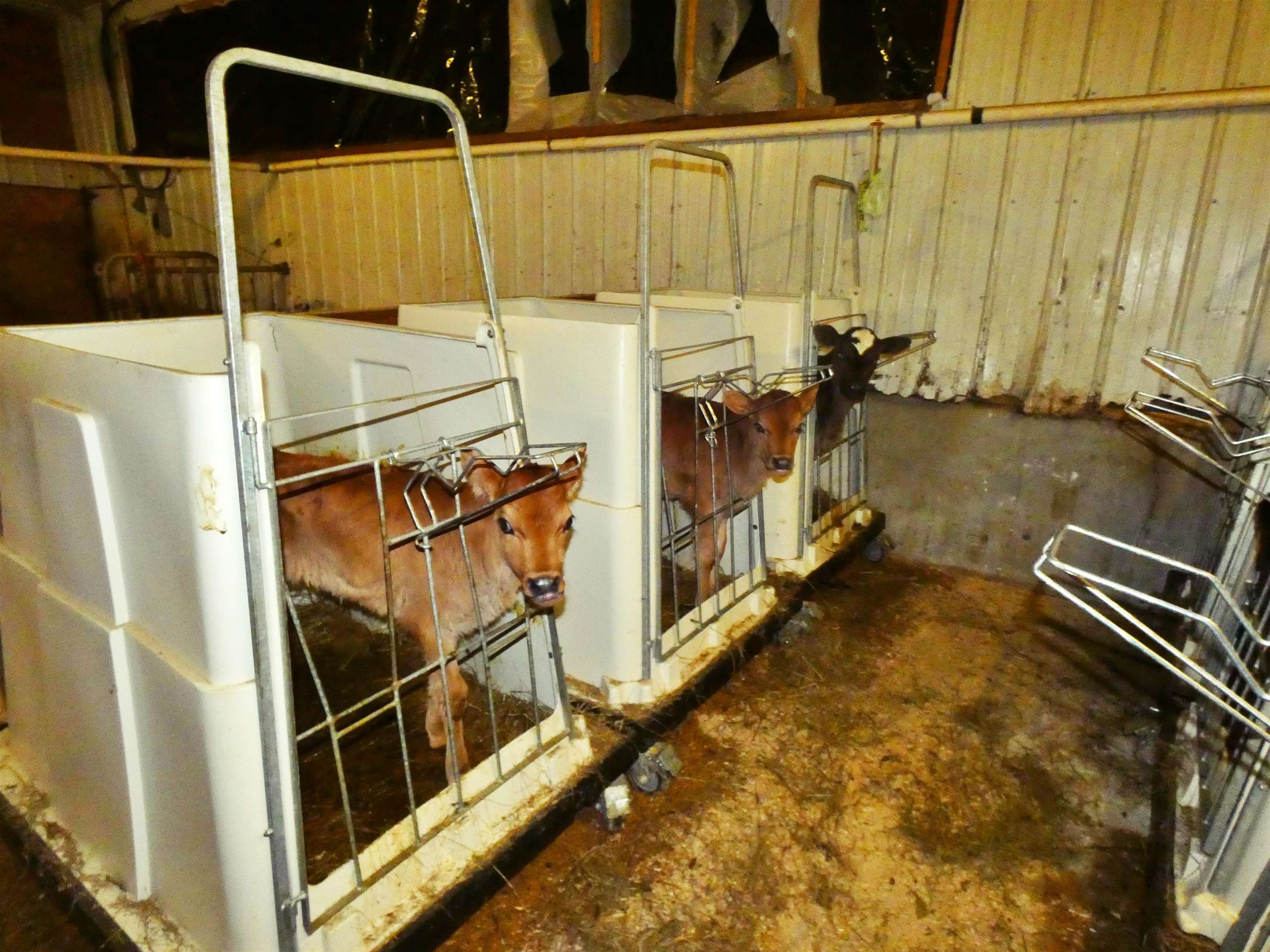 3604 Vermont Rte 111 Morgan, VT 05853 - Photo 36 of 36