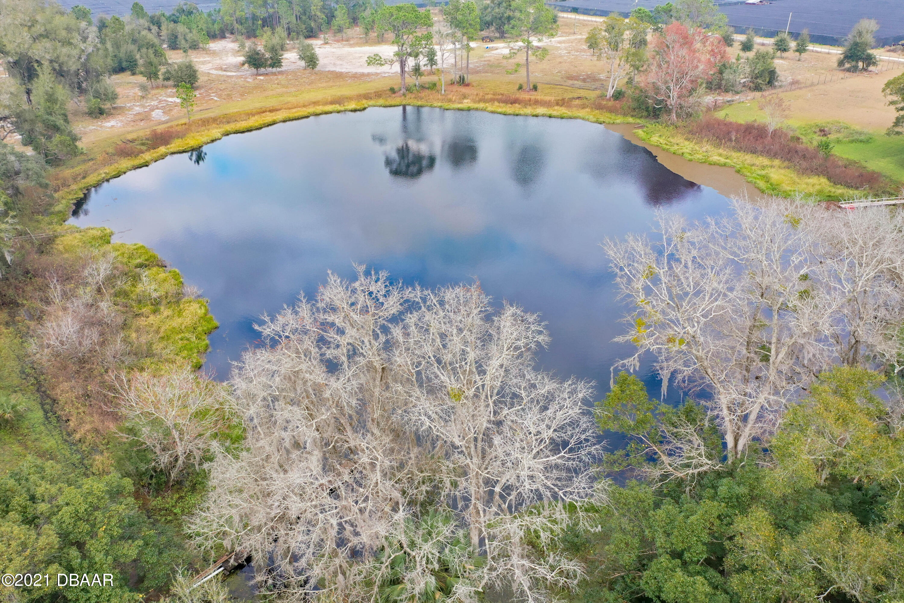 928 Peterson Road Pierson, FL 32180 - Photo 42 of 60 42_928_Peterson_Rd42
