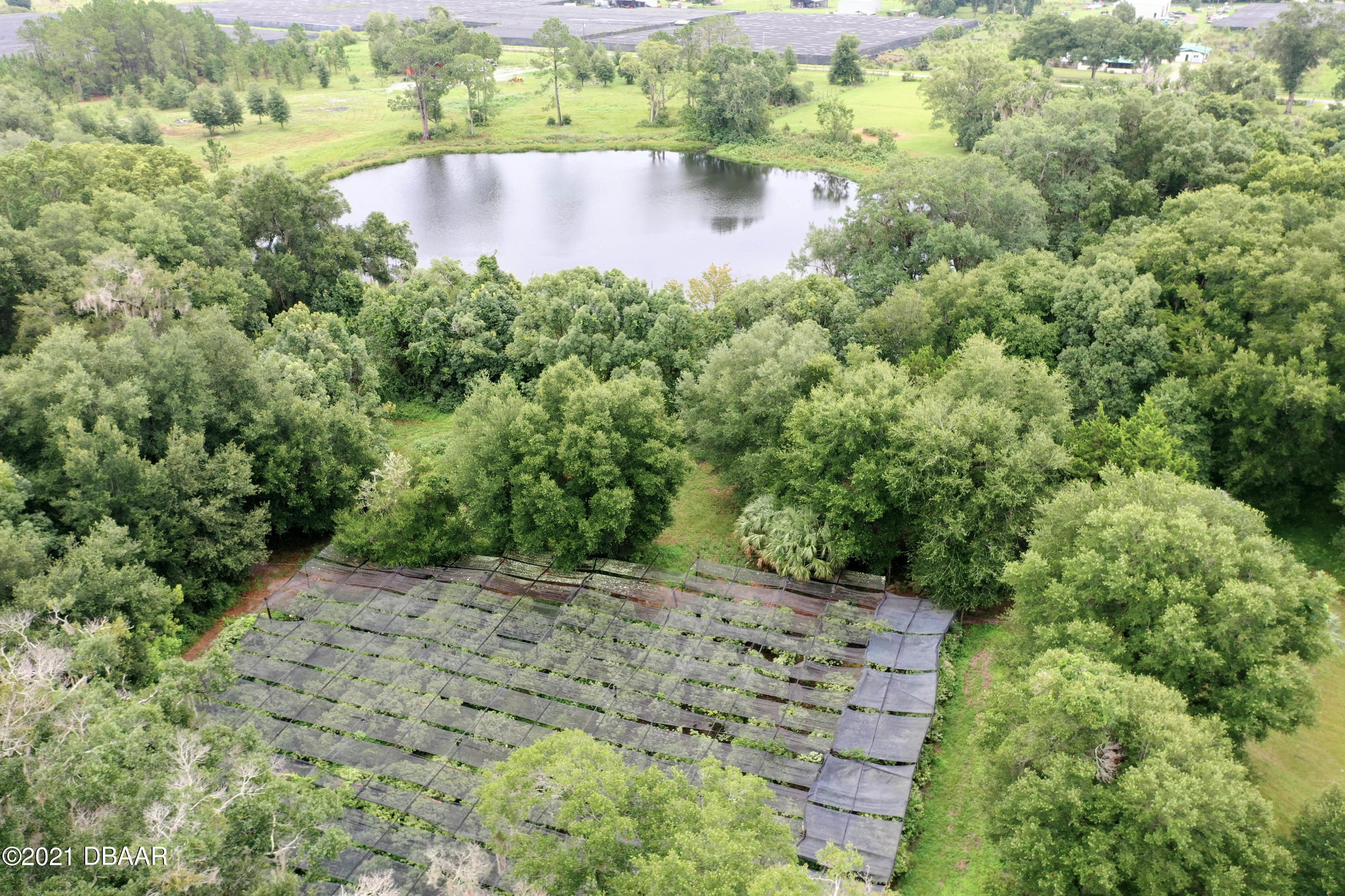 928 Peterson Road Pierson, FL 32180 - Photo 54 of 60 54_928_Peterson_Rd51