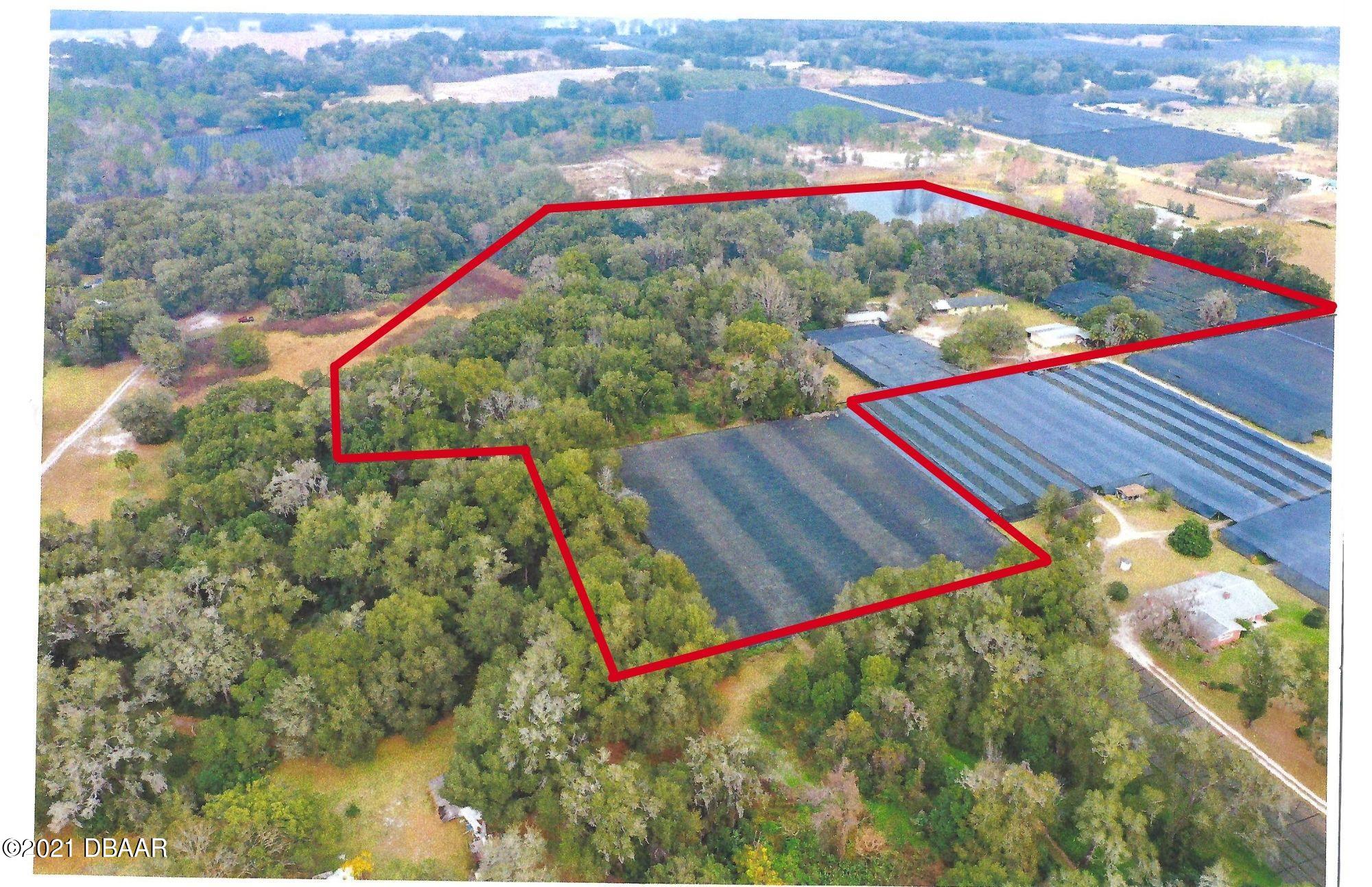 928 Peterson Road Pierson, FL 32180 - Photo 59 of 60 1