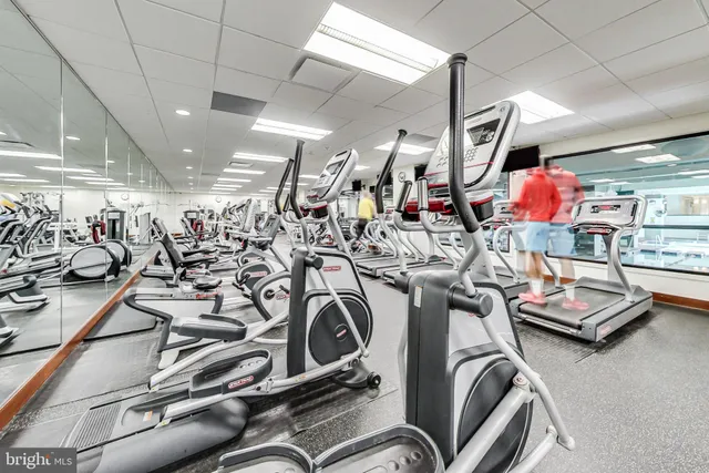 $3,000 | 307 Yoakum Parkway, Unit 821, Alexandria, VA 22304