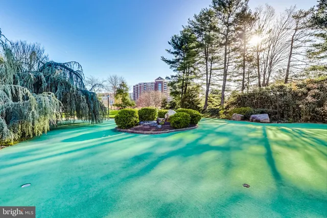 $3,000 | 307 Yoakum Parkway, Unit 821, Alexandria, VA 22304