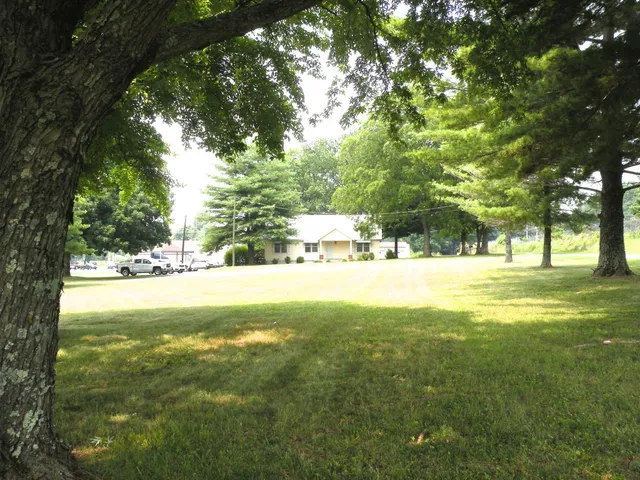 a view of yard with swimming pool and trees