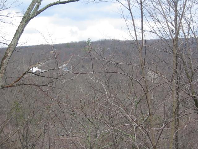 10 Cherry Ridge Road Layton, NJ 07851 - Photo 2 of 3 a view of a dry field with trees in the background