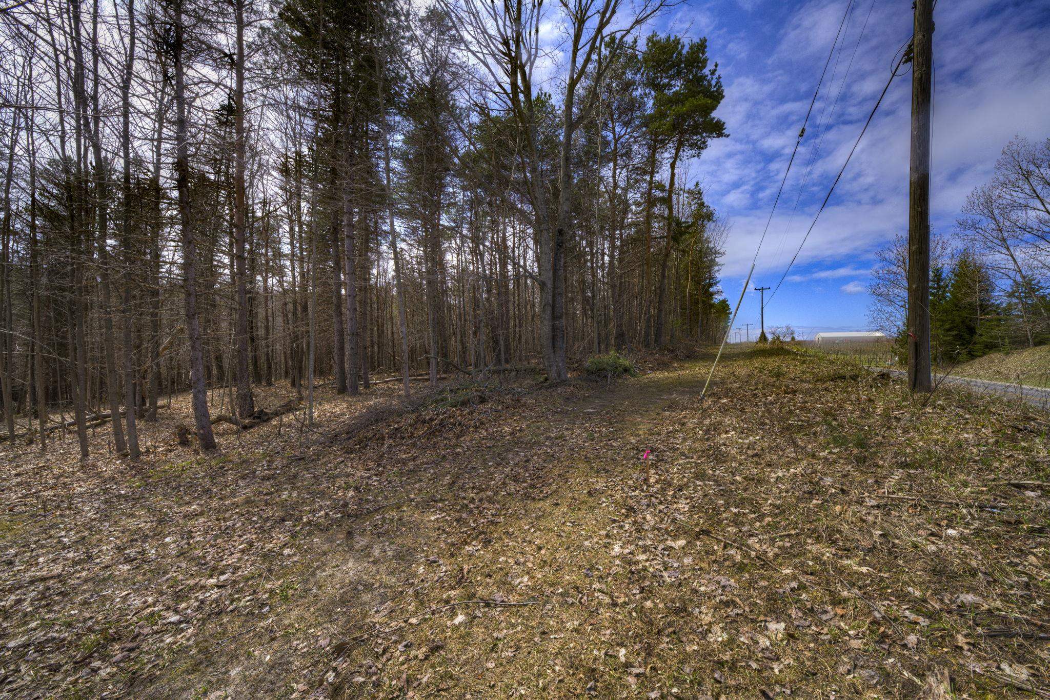 Parcel B East Bodus Road Cedar, MI 49621 - Photo 10 of 10