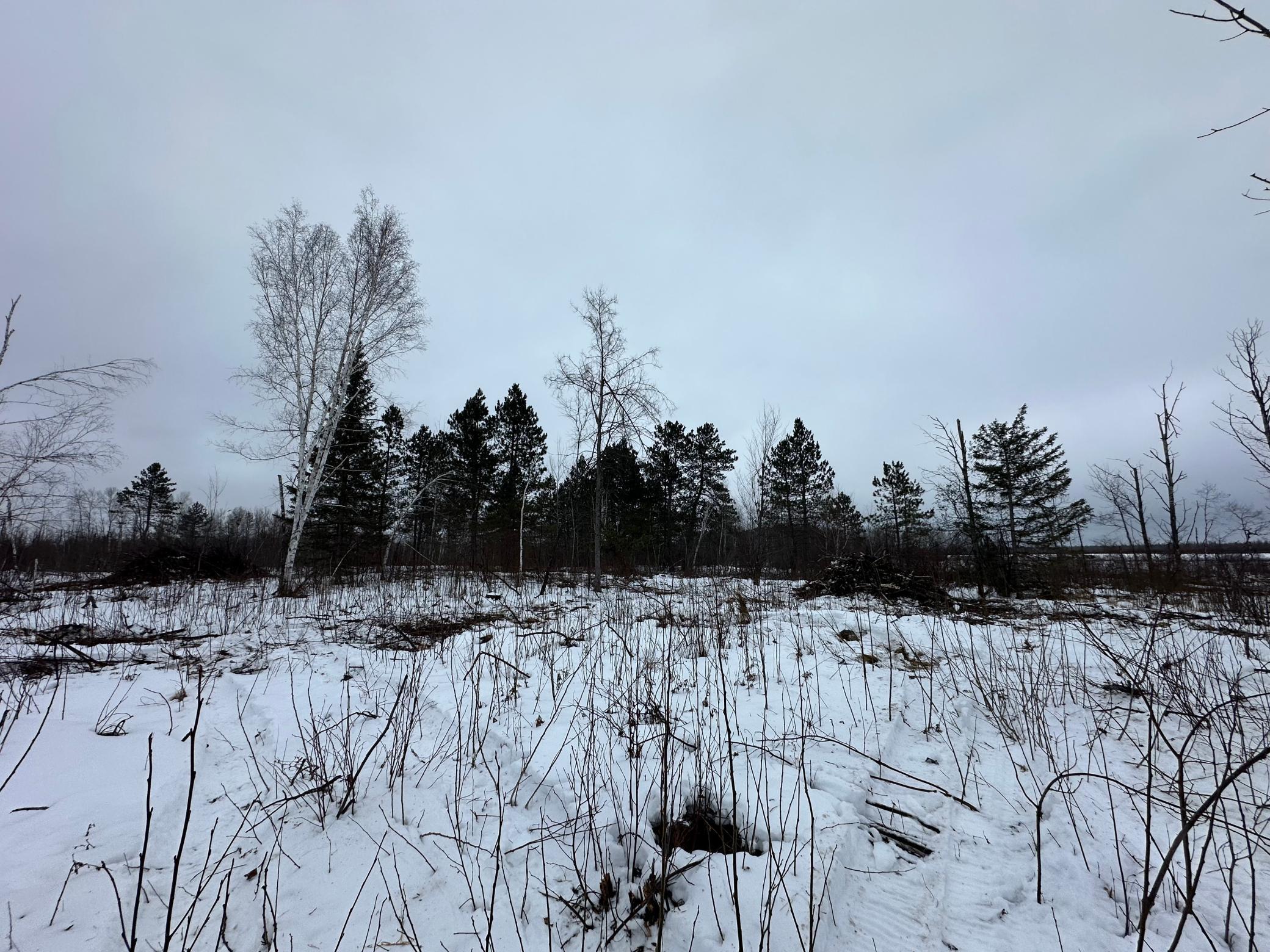 Tbd #3 Koecher Road Kerrick, MN 55756 - Photo 11 of 19