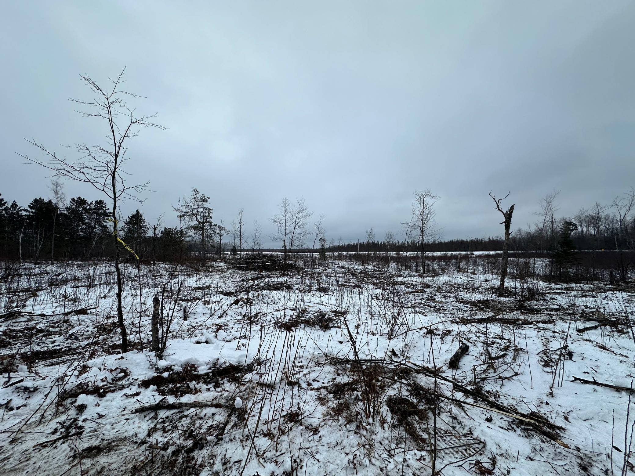 Tbd #3 Koecher Road Kerrick, MN 55756 - Photo 13 of 19