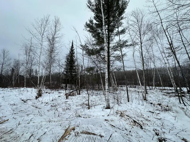 $80,000 | Tbd #3 Koecher Road, Kerrick, MN 55756