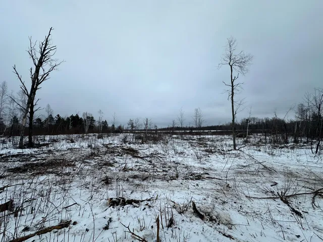 $80,000 | Tbd #3 Koecher Road, Kerrick, MN 55756