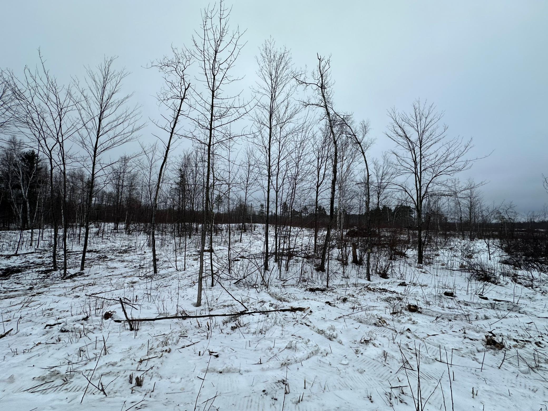 Tbd #3 Koecher Road Kerrick, MN 55756 - Photo 16 of 19