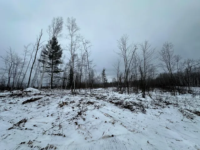 $80,000 | Tbd #3 Koecher Road, Kerrick, MN 55756