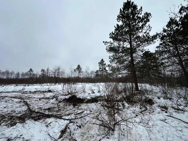 $80,000 | Tbd #3 Koecher Road, Kerrick, MN 55756