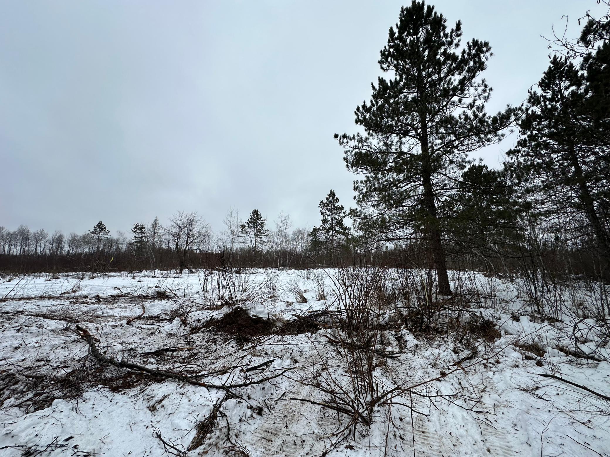 Tbd #3 Koecher Road Kerrick, MN 55756 - Photo 5 of 19