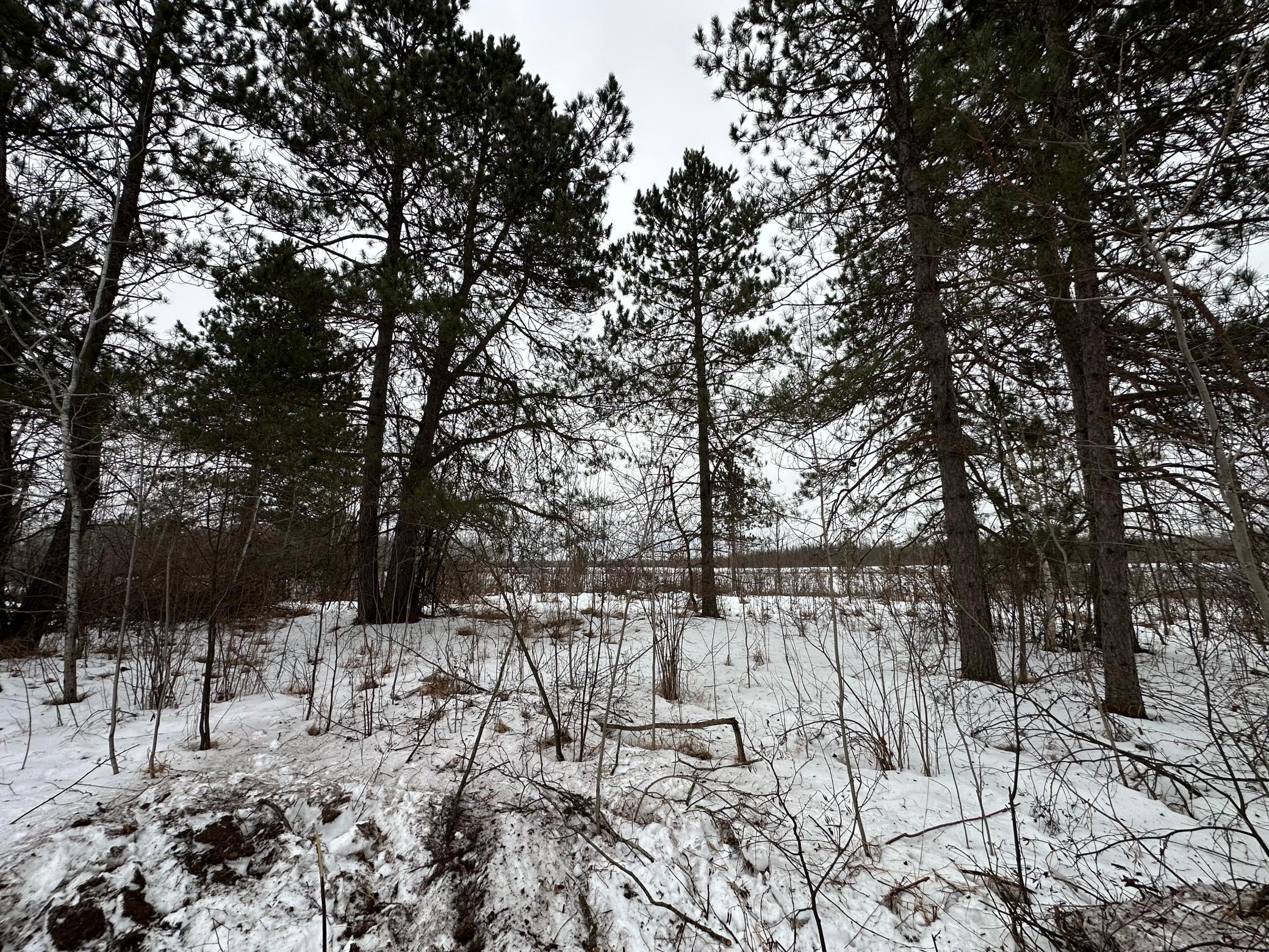 Tbd #3 Koecher Road Kerrick, MN 55756 - Photo 6 of 19