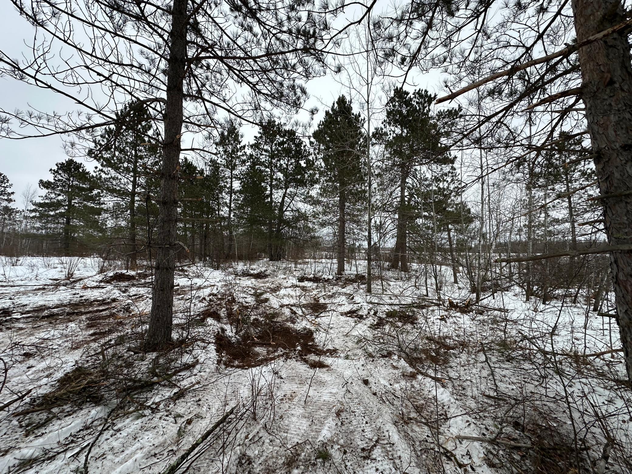 Tbd #3 Koecher Road Kerrick, MN 55756 - Photo 7 of 19