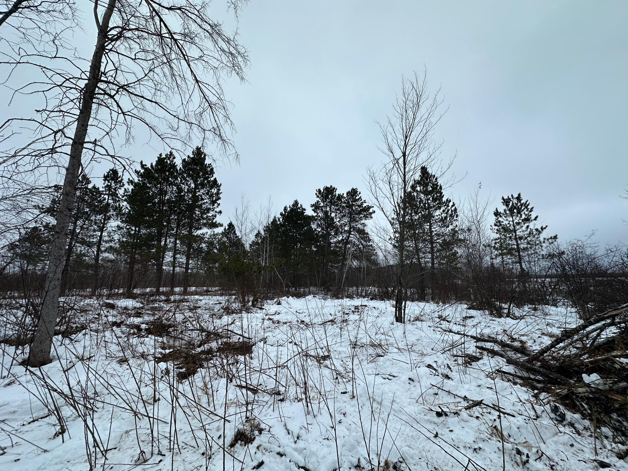 Tbd #3 Koecher Road Kerrick, MN 55756 - Photo 8 of 19