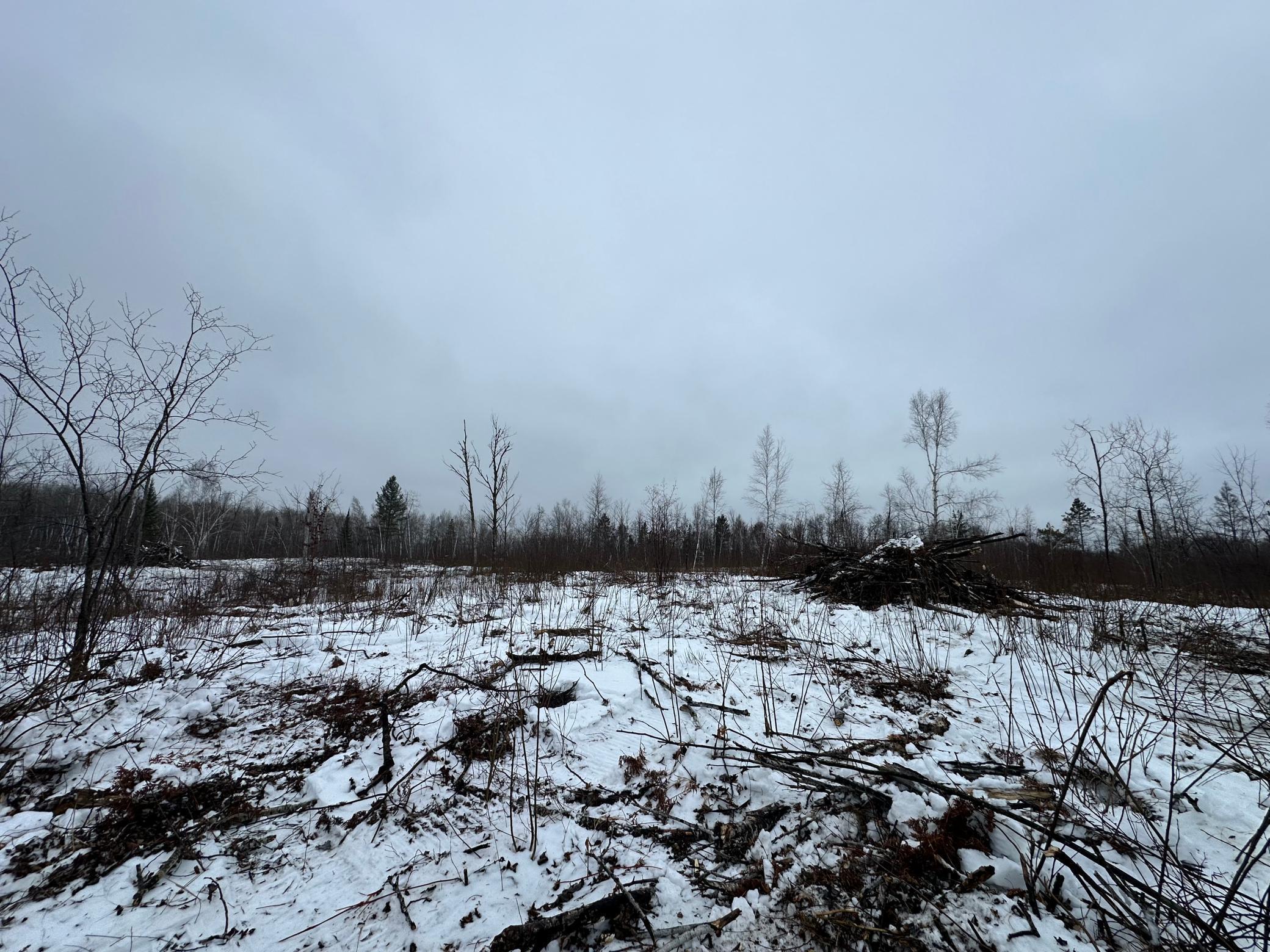 Tbd #3 Koecher Road Kerrick, MN 55756 - Photo 10 of 19