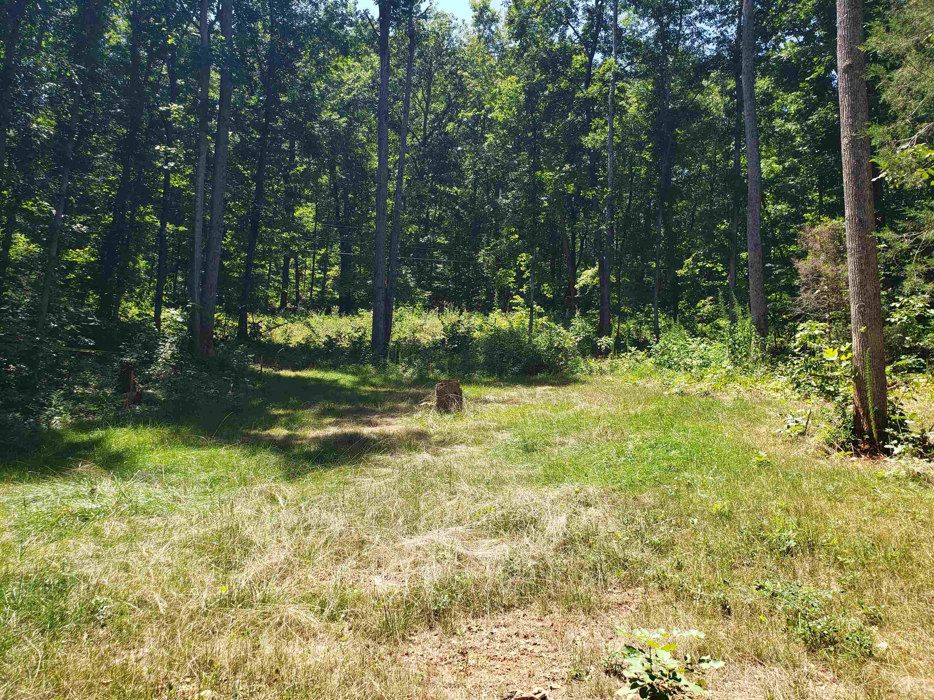 a view of backyard with green space