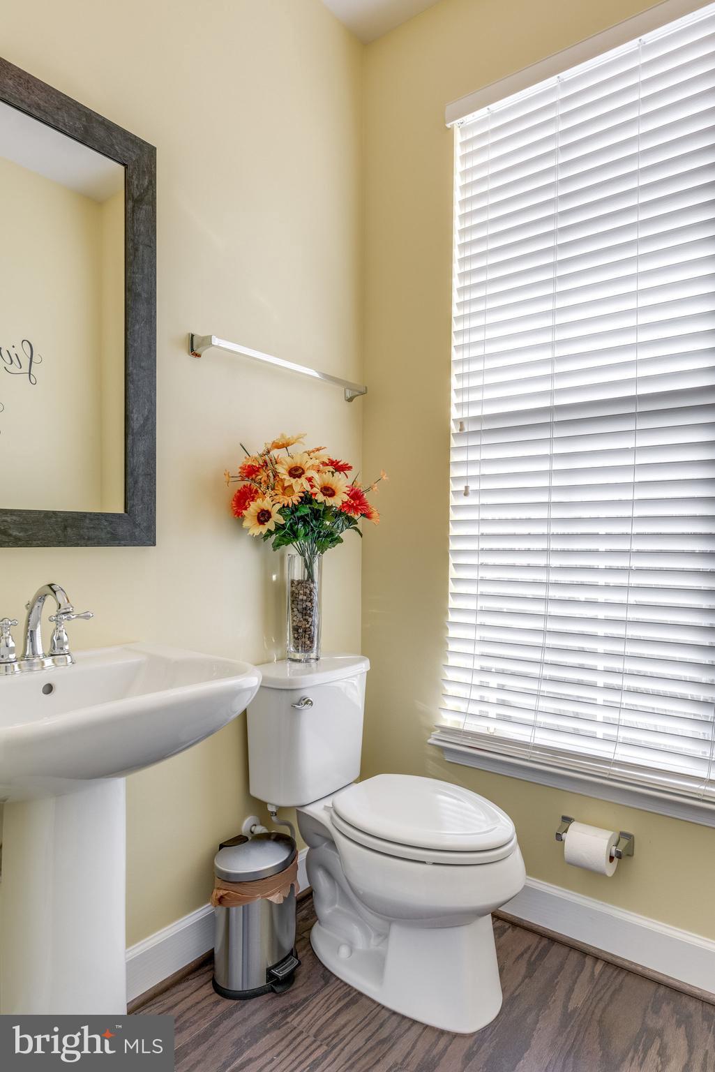 23659 Turtle Point Terrace Ashburn, VA 20148 - Photo 15 of 49 Gallery Image 15